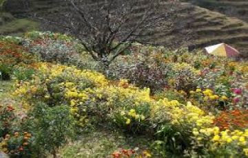 Pleasurable 7 Days 6 Nights Delhi - Nainital - Kausani - Corbett - Mussoorie Trip Package