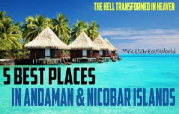 Heart-warming 5 Days Andaman And Nicobar Islands Trip Package
