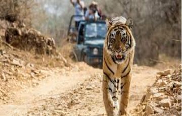 Beautiful 7 Days 6 Nights Corbett Tour Package