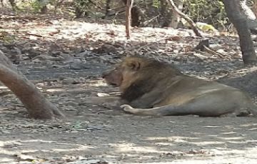 4 Days 3 Nights Bhuj Holiday Package by KBG HOLIDAYS PVT LTD