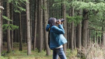 Best 7 Days Manali, Kaza, Nako with Kalpa Trip Package