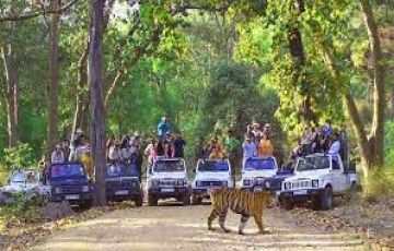 Experience 5 Days 4 Nights Nainital, Kausani, Corbett with Delhi Drop Tour Package