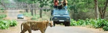 Experience 4 Days Anandwan, Hemalkasa, Somnath with Nagpur Tour Package
