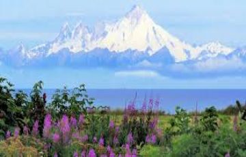 7 Days Anchorage, Denali National Park with Valdez Trip Package