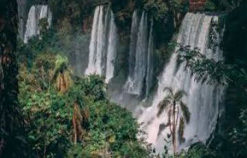 Amazing 19 Days Guassu Falls Holiday Package