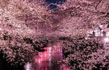 Family Getaway 12 Days 11 Nights Takayama Trip Package