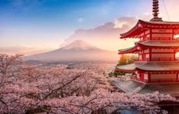 10 Days 9 Nights Osaka to Hiroshima Tour Package