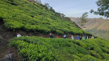 Memorable Kochi Tour Package for 4 Days