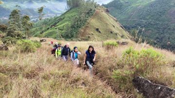 Heart-warming Munnar Tour Package for 4 Days