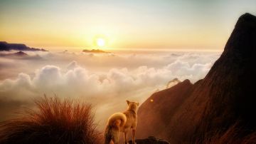 Heart-warming Munnar Tour Package for 4 Days