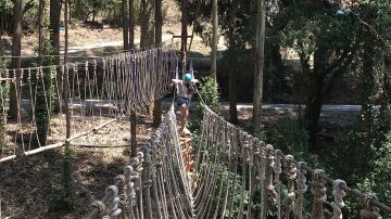 Heart-warming Munnar Tour Package for 4 Days