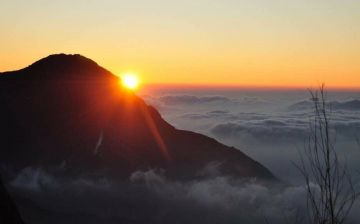 Heart-warming Munnar Tour Package for 4 Days