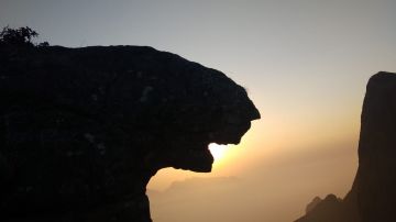 Heart-warming Munnar Tour Package for 4 Days