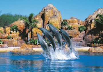 Family Getaway Gold Coast Tour Package from Melbourne