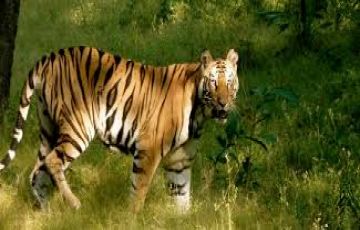 Amazing 7 Days Jaipur to New Delhi Holiday Package