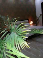 Ecstatic Noida Tour Package for 2 Days 1 Night