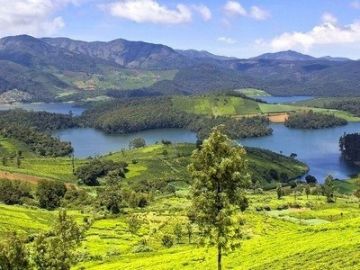 OOTY   only Rs. 3000/- 14 Pax Net Per