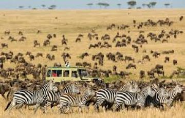 Magical 11 Days Serengeti Area to Maasai Mara Holiday Package