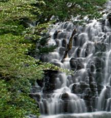 7 Days 6 Nights Guwahati Tour Package