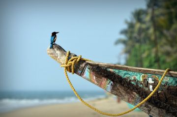 Best Malvan Tour Package for 4 Days