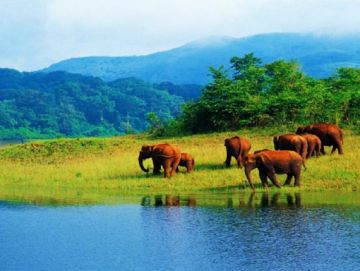 Pleasurable 6 Days 5 Nights Cochin, Munnar, Thekkady and Alleppey Holiday Package