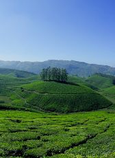 Amazing Kovalam Tour Package for 7 Days from Trivandrum