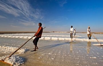 7 Days 6 Nights Ahmedabad Tour Package by Damle Safaris_self