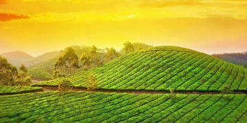 5 Days 4 Nights Alleppey, Munnar and Thekkady Tour Package