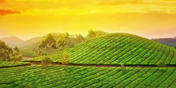 Magical 2 Days Munnar Holiday Package