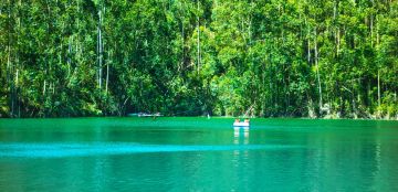 Heart-warming 2 Days Munnar Trip Package