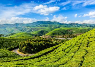 Memorable Munnar Tour Package for 4 Days