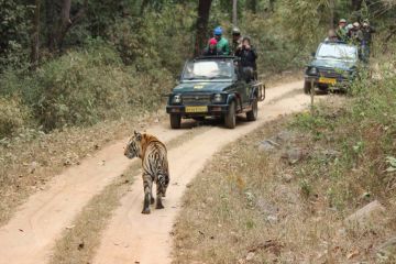 Ecstatic 7 Days 6 Nights Kanha National Park Holiday Package