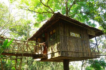 Amazing 1 Night 2 Days Munnar Trip Package