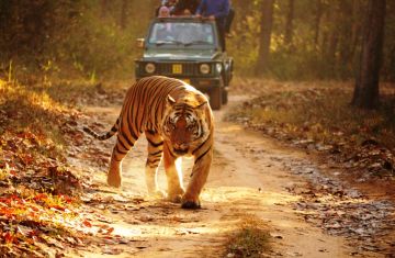Ecstatic 4 Days Kanha National Park and Jabalpur Vacation Package
