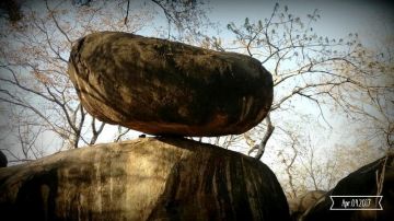 Ecstatic 4 Days Kanha National Park and Jabalpur Vacation Package