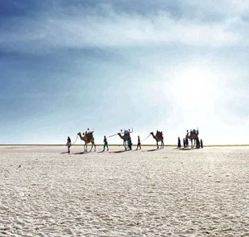 8 Days Gir to Jamnagar Trip Package