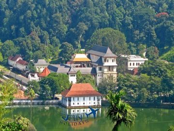 Best 6 Days 5 Nights Kandy and Colombo Trip Package