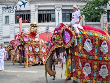 Experience 7 Days 6 Nights Kandy, Bentota and Colombo Holiday Package