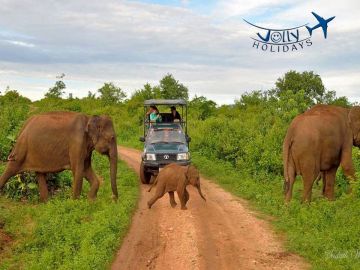 Experience 7 Days 6 Nights Kandy, Bentota and Colombo Holiday Package