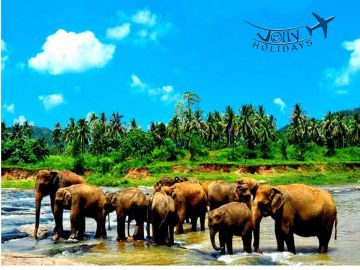 Memorable 4 Days Departure to Nuwara Eliya Hill Country Holiday Package