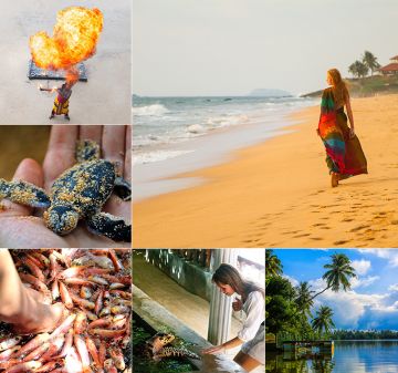 Beautiful 6 Days 5 Nights Bentota Holiday Package