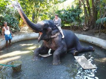 Magical 6 Days 5 Nights Cochin, Munnar, Thekkady and Alleppey Trip Package