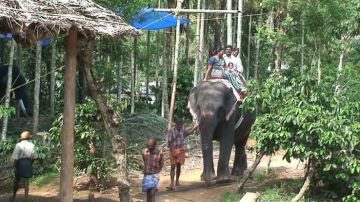 Magical 6 Days 5 Nights Cochin, Munnar, Thekkady and Alleppey Trip Package