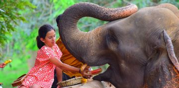 Ecstatic 5 Days Colombo and Bentota Vacation Package