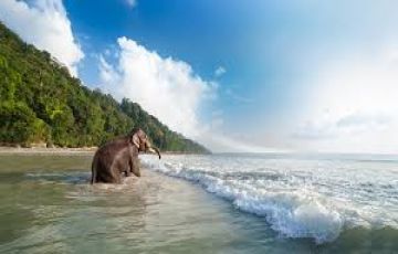 Best Havelock Island Tour Package for 5 Days 4 Nights from Port Blair