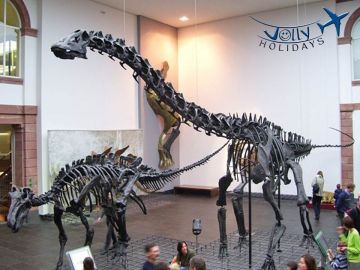 Heart-warming Frankfurt Tour Package for 3 Days from Extend Your Stay Or Depart