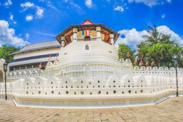 Amazing Airport  Kandy Culture and Heritage Tour Package for 3 Days from Colombo Airport