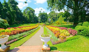 Amazing Airport  Kandy Culture and Heritage Tour Package for 3 Days from Colombo Airport