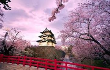 Memorable 7 Days 6 Nights Nara Sightseeing Luxury Trip Package