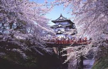 Memorable 7 Days 6 Nights Nara Sightseeing Luxury Trip Package